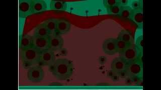 Field Command 3