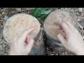 Beginning of video