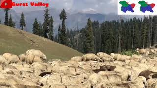 Summer and Winter Season in Gurez valley screenshot 5