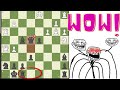 Kasparovs perfect attack against the viswanathan anand