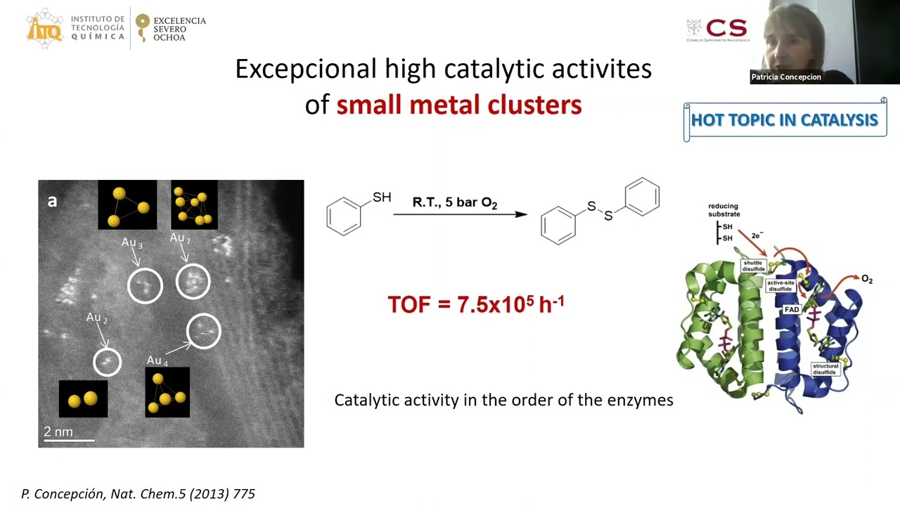 Catalysts for a Sustainable Chemistry: Rational Design