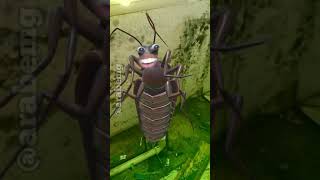 Download Lagu VEM AQUI 🤣 #videooriginal #comedia #shorts MP3