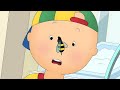 Caillou And The Bee Caillou WildBrain