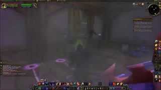 World of Warcraft - The Horseman's Horrific Hood Transmog Bug