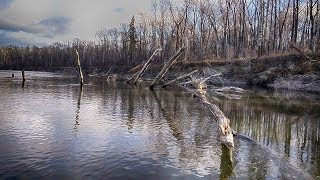 ПОПАЛИ НА ЖОР В ЛЮТОМ КОРЯЖНИКЕ! Так вот где вся рыбалка оказывается!! ПОПАЛИ НА ЖОР В ЛЮТОМ КОРЯЖНИКЕ! Так вот где вся рыбалка оказывается!!