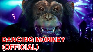 (funny animal)Dancing Monkey #animal #monkey