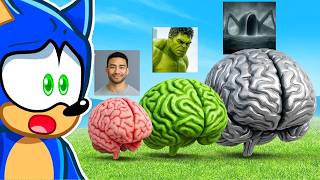 Reacting to Brain Size Comparison