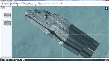 DELPH Sonar Interpretation