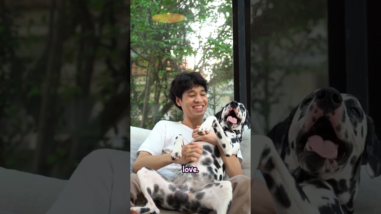 To Your Dog, Today Is Everything #dogs #petLovers #cherishMoments