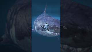 Gta 5 Megalodon Attack Mod