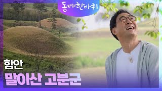 [동네 한 바퀴] 함안 말이산 고분군 | KBS 230513 방송