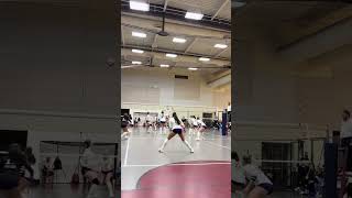 This is amazing teamwork 👏🏼🏐 #volleyball #foryou