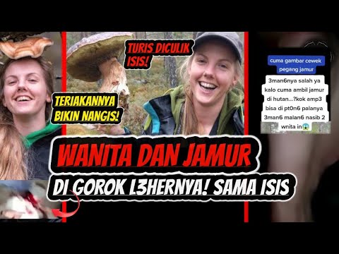 Viral Jamur Dan Hutan