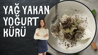 Cayir Cayir Yağ Yakan Yoğurt Kürü Bu Tarifi Akşam Ye Sabaha Kadar Yağların Yok Olsun