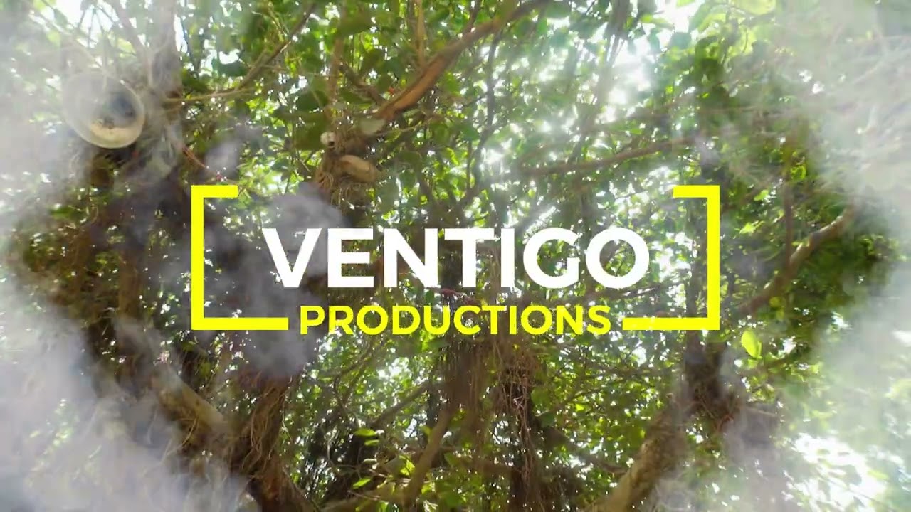 Premium content creation channel , watch out for this space 