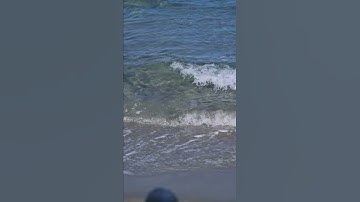 Video from the beach of Bastia