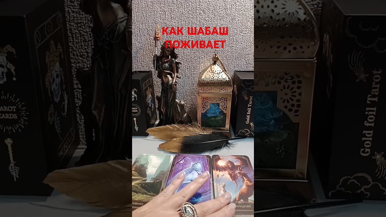 КАК ШАБАШ ПОЖИВАЕТ 