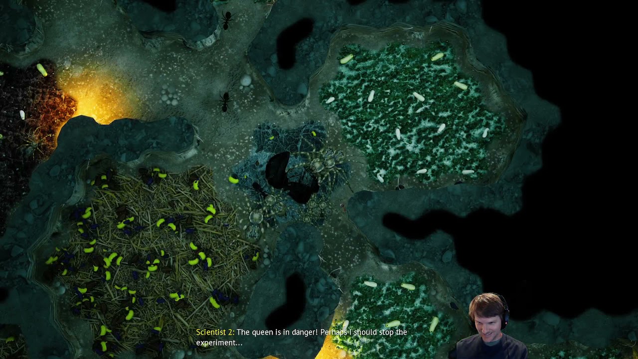 empires of the undergrowth wiki empires of the undergrowth wiki