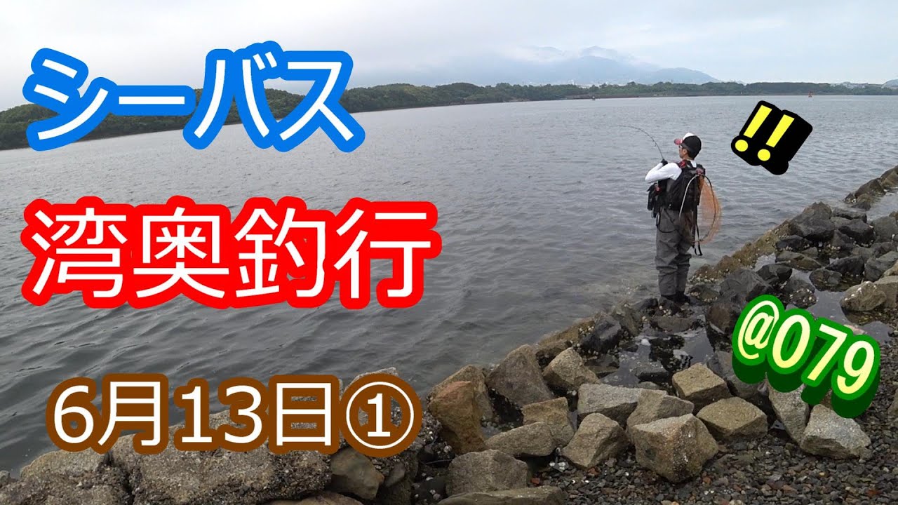 シーバス 湾奥釣行 6月13日 079 九州の福岡県 北九州を中心に おかっぱりをウロウロして釣りをしています Youtube