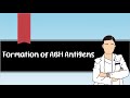 Formation of abh antigens