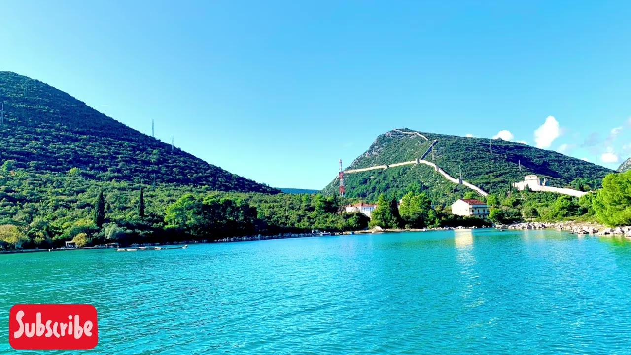 No Copyright For You - MISS MISS by Acki Irvine 🎶 