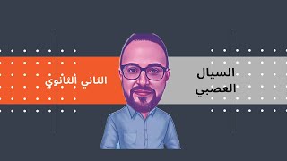 شرح السيال العصبي