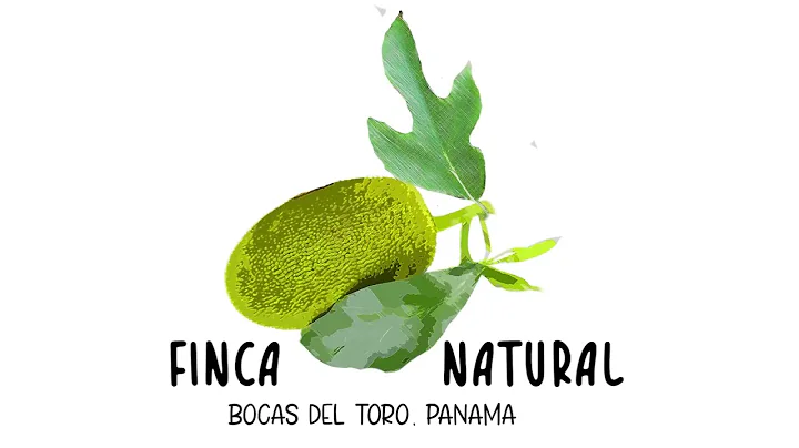 IMO 3: A Visual Journey