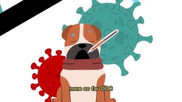 A scenario Demonstrate proper History Taking in a vet clinic.