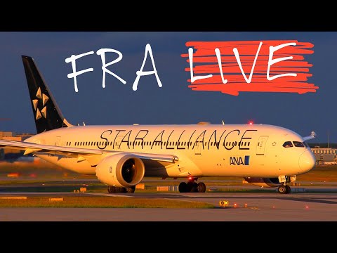 Frankfurt Airport LIVE - Planespotting with Kai