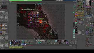 Undead seal feru | MS 857 solo | RAW HUNT