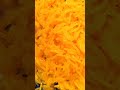 Zarda recipe Adilkhan Bavarchi old Delhi food famous #food #recipe #sweet #rice #zarda #meethechawal