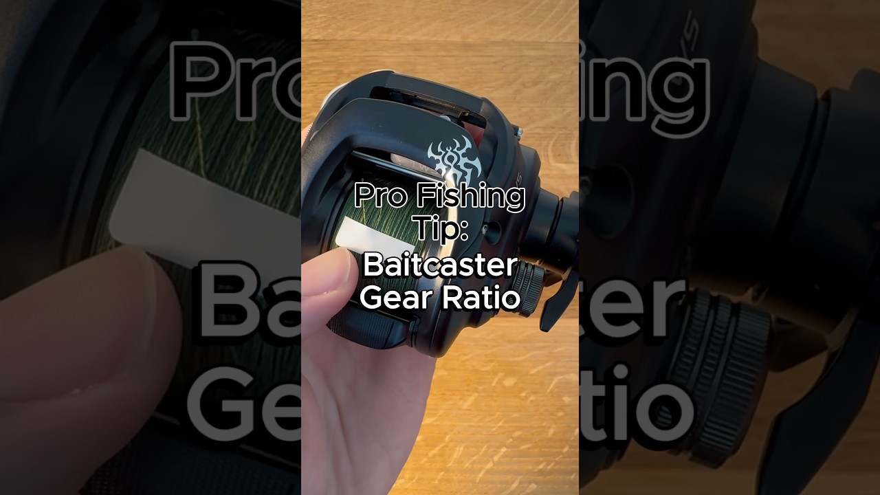 baitcaster reel gear ratio setups Reaction Tackle Baitcasting Fishing ReactCast Edition- High-Speed 7.3:1 Right Handed Reaction Tackle ReactCast Baitcasting Reel high Choosing The Right GEAR RATIO