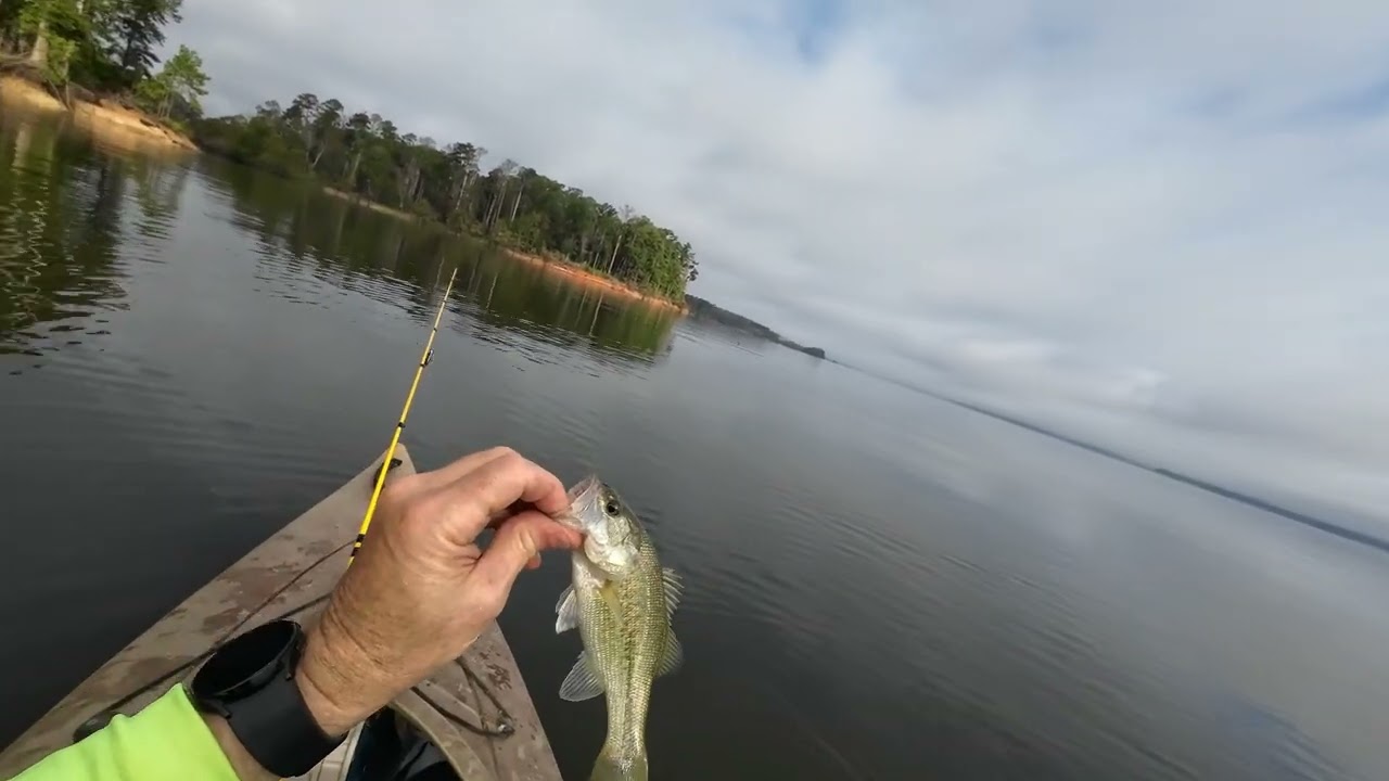 I found a huge Hornets nest while Bass Fishing!