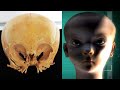 Starchild Skull And The Star Children: Who They Are?