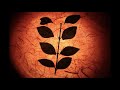 Youth Media | He, She | Short Experimental |