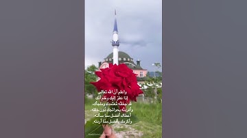 قبل النوم 😴 - آيات خاشعة مليئة بالطمأنينة والخشوع - القارئ ماهر المعيقلي