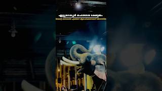 Wait for elephant 🐘💥😯 sound #elephant #mahadev #kerala #elephantlove #shorts #viral #youtubeshorts