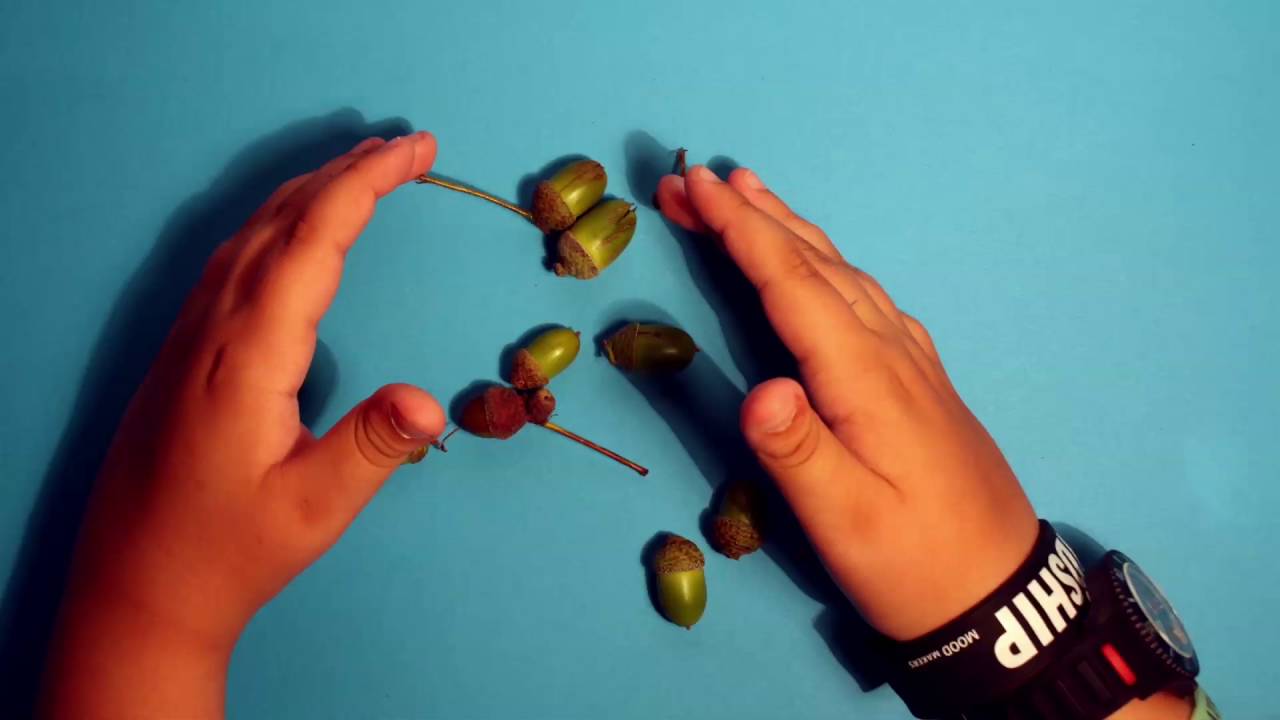 Объектная анимация (Jurmala Digital Camp For Teens)