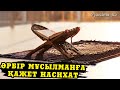 Әрбір мұсылманға қажет насихат / Мұратбек Қыстаубаев