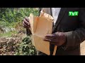 RULINDO: ABUBATSE UMURENGE WA KISARO BARASABA KWISHYURWA