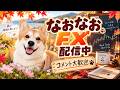 FX配信　生ライブ配信のサムネイル