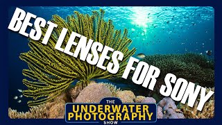 Best Lenses For Full Frame Sony Mirrorless Cameras Underwater.