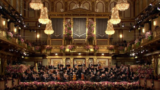 Johann Strauss II - The Blue Danube Waltz