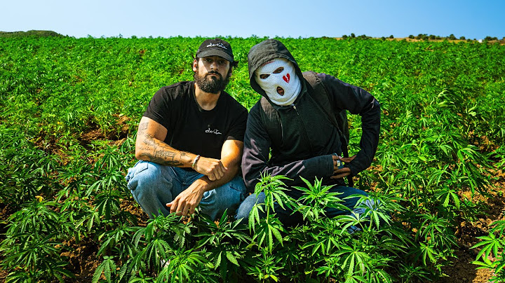 I Infiltrated Morocco's Most Dangerous Underground Business