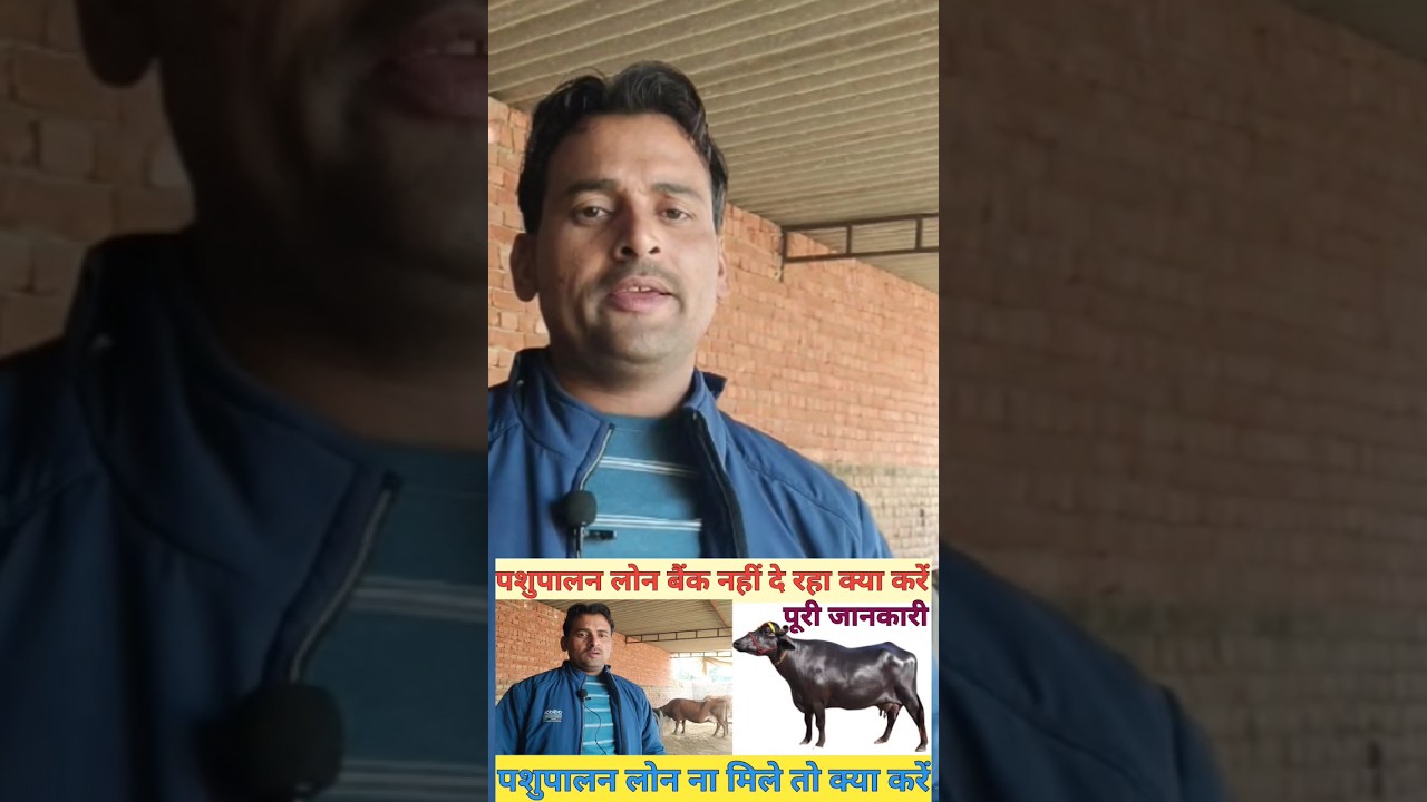 Bank se Pashupalan loan kaise le  