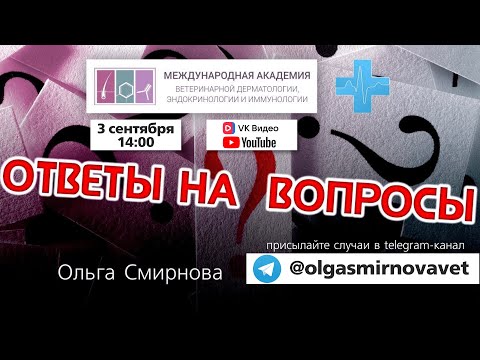 Ответы на вопросы. Выпуск от 3.09.2025