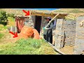 Mother Abandoned by Her Son and Daughter-in-Law, Now Struggling Far From Civilization to Build Her H