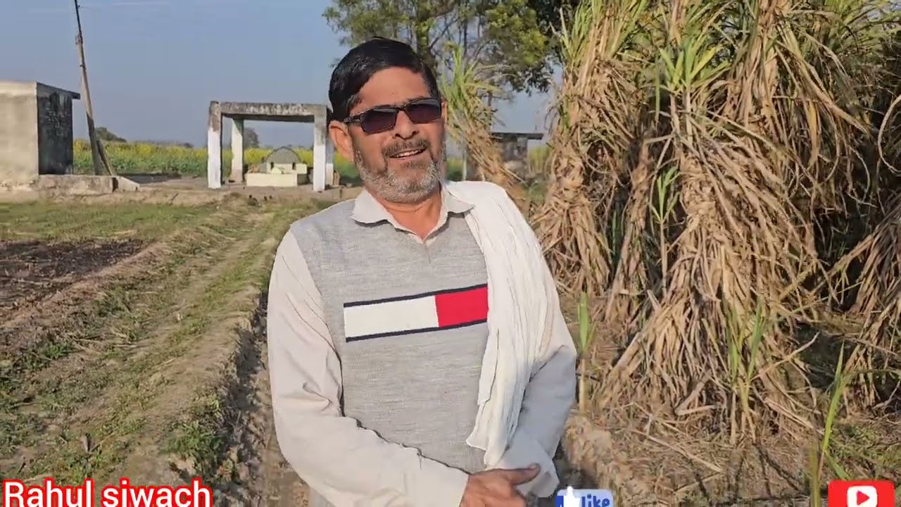 पिछले साल सबसे ज्यादा गन्ना पेडी खराब हुई गांव में ट्राइसील्ड लगाने के बाद कैसे आए किसान के रिजल्ट
