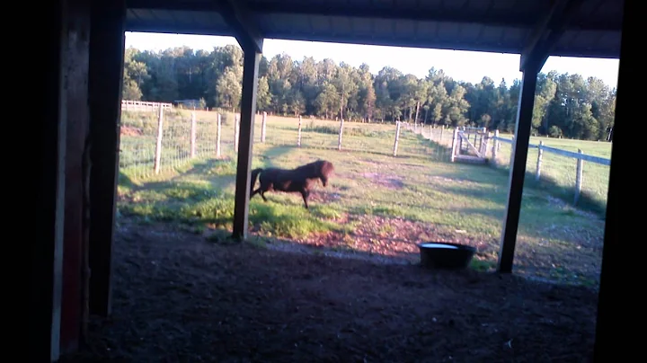 Debra's Homestead