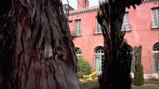 Filoli Gardens